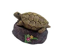 kokdid Boîte de rangement en résine résistante aux intempéries pour intérieur et extérieur, amateurs de jardinage, motif tortues