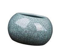 kokdid Pot de fleurs en céramique glacée avec capacité de 300 ml pour petites feuilles et petits buissons