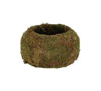 Kokedama boule de mousse 9 cm
