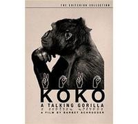 Koko a Talking Gorilla - Edition Criterion - DVD Zone 1 E