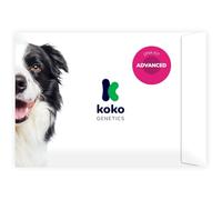 Koko Genetics - Test ADN pour Chiens Advanced (+175 rapports sur les Races, Santé et Traits) - Mises à niveau sans frais