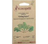 Kokopelli Chou Frisé Bio "Sibirischer Gulag Stars" - 300 Graines