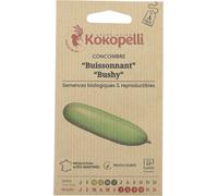 Kokopelli Concombre Buissonnant "Bushy" Bio - 25 Graines