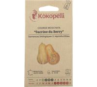 Kokopelli Courge Musquée Bio "Sucrine du Berry" - 12 Graines