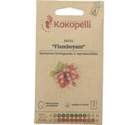 Kokopelli Radis Flamboyant Bio - 6 g