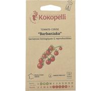 Kokopelli Tomate-Cerise Rouge Précoce "Barbaniaka" Bio - 35 Graines
