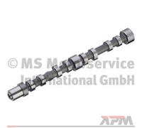 Kolbenschmidt 50007033 Arbre À Cames Pour Iveco Daily III Daily IV Daily V