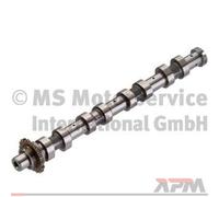 Kolbenschmidt 50007094 Arbre À Cames Pour Mini Ford Peugeot Volvo Citroën Suzuki