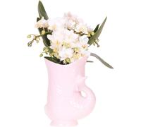 Kolibri Orchids | Orchidée blanche 'Nazaré' + pot à poisson rose - taille du pot Ø9cm | plante d'intérieur à fleurs - fraîchement cultivée