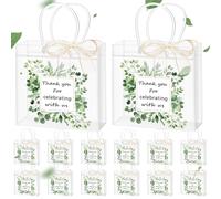 Kolldenn Lot de 12 sacs cadeaux transparents réutilisables en plastique transparent avec poignée pour cadeau de remerciement pour l'été, mariage, fête d'anniversaire, 20 x 20 x 8 cm (eucalyptus)