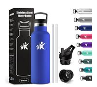 KollyKolla Gourde Isotherme 500ml, Bouteille Isotherme avec Paille, Double Paroi Isolante, Anti Fuite, Bouteille Reutilisable, sans BPA, pour Enfant, Adulte, l'école, Travail, Voyage, Jogging