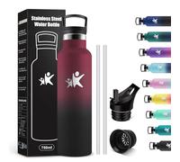KollyKolla Gourde Isotherme 750ml, Bouteille Isotherme en Acier Inoxydable, Bouteille d'eau sans BPA, Gourde Inox avec Paille, Gourde Reutilisable pour l'École, Bureau, Extérieur, Camping, Yoga