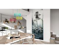 Komar 001-DVD1 Star Wars Imperial Forces Papier peint photo non tissé 1 panneau avec colle Multicolore 100 x 250 cm