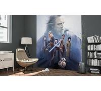 'Komar 031 de dvd2 Star Wars Papier peint photo non tissé de "Star Wars Last Hope, Taille 200 x 250 cm (Largeur x hauteur), 2 Chemins, avec colle, multicolore