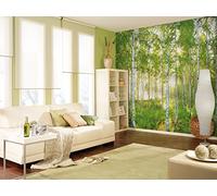 Komar 8-519 368 x 254 cm "NATIONAL GEOGRAPHIC Dimanche printemps Arbre Bouleau Forêt" Papier peint - Vert (Lot de 8)