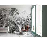 Komar Papier peint photo Amazonia Noir et blanc 400x250 cm 434229