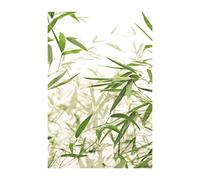 Komar Bamboo Leaves - Taille : 50 x 70 cm Image murale (sans cadre) - Pure Boutique