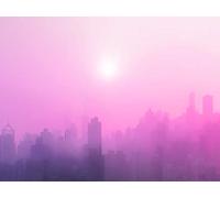 Komar City Dusk Tableau Mural en Trois Tailles, Pink, Rosa, Schwarz, P118-40x30