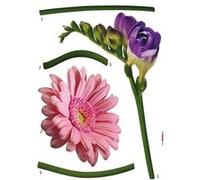 'Komar Deco de Sticker"Fiore, 1 pièce, rose/violet/vert, 18887h Rose G