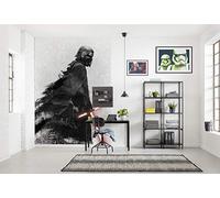 Komar DX4-074 Star Wars Kylo Vader Shadow Papier peint photo non tissé pour chambre d'enfant Noir/blanc 200 x 280 cm Largeur 50 cm