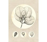 Komar Feuille transparente - Dimensions : 50 x 70 cm - Tableau mural - Poster - Impression d'art (sans cadre) - Pure Boutique