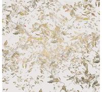 Komar Golden Feathers Vlies Fototapete 300x280cm 6-bahnen.