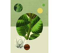 Komar Green Structure Tableau Mural en Trois Tailles, Grün, Weiß, Schwarz, Braun, P054-50x70