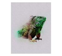 Komar Image murale | Animaux Paradise Iguane | Poster Photo Salon Chambre Décoration Art Print | Sans cadre | P083C-40x50 | Dimensions : 40 x 50 cm (largeur x hauteur)
