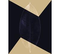 Komar Impression d'art Lotus Theatre - Dimensions : 40 x 50 cm - Décoration murale pour salon, chambre à coucher