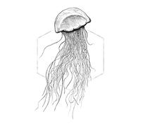 Komar Jellyfish White - Taille : 50 x 70 cm Impression sur toile (sans cadre) - Pure Boutique