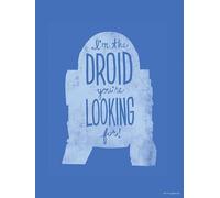 Komar Mantiburi Poster mural Star Wars Silhouette Quotes R2D2 30 x 40 cm (sans cadre) Décoration pour chambre d'enfant