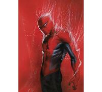 Komar Marvel Spider-Man Through the Spider Web Tableau mural Taille 50 x 70 cm Décoration murale pour chambre d'enfant