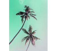 Komar Miami Palms Tableau Mural en Trois Tailles, Braun, Blau, Rosa, P115-30x40
