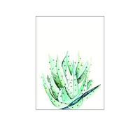 Komar P070C - Impression Murale à l'aquarelle - sans Cadre - 40 x 50 cm - Dimensions : 40 x 50 cm (Largeur x Hauteur)