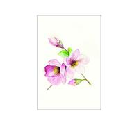 Komar P073A-30 x 40 cm Tableau Mural Motif Magnolia Breathe 30 x 40 cm (Largeur x Hauteur)
