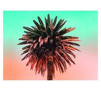 Komar Palm Tree Tableau Mural en Trois Tailles, coloré, P051-40x30