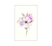 Komar Papier Peint Mural Magnolia Blossom | Poster Image Salon Chambre Décoration Art Print | sans Cadre | P073C-50x70 | Dimensions : 50 x 70 cm (Largeur x Hauteur)