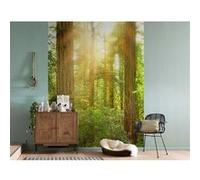 KOMAR Photo murale - 184 x 248 cm - panoramique intissé - Redwood Multicolors G