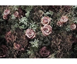 Komar Photo Murale, 368 x 254 cm, Velours 8-980