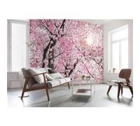 KOMAR Photo murale - 400 x 260 cm - panoramique intissé - Bloom Multicolors G