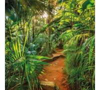 Komar Photo murale Jungle Trail 368 x 254 cm