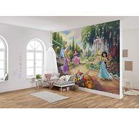Papier Peint Photo Les Princesses Disney au parc 368cm x 254cm