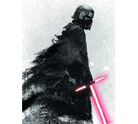 Komar Poster d'Art Mural, 30cm x 40cm, Star Wars EP9 Kylo Vader Shadow