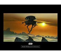 Komar Poster d'Art Mural, 40cm x 30cm, Star Wars Classique RMQ Hoth Probe Droid