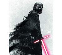 Komar Poster d'Art Mural, 40cm x 50cm, Star Wars EP9 Kylo Vader Shadow