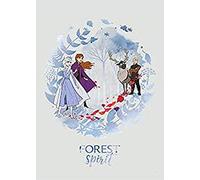 Komar Poster d'art Mural, 50cm x 70cm, Esprit Gelé