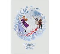 KOMAR Poster Disney La Reine des Neiges 2 - Esprit de la forêt 30 cm x 40 cm Multicolors G