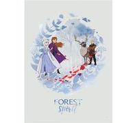 KOMAR Poster Disney La Reine des Neiges 2 - Esprit de la forêt 40 cm x 50 cm Multicolors G