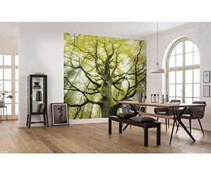 Komar Poster XXL Impression Numérique, 450cm x 280cm, La Transformation