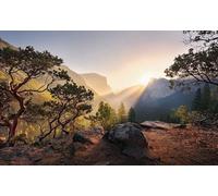 Komar Poster XXL Impression Numérique, 450cm x 280cm, Yosemite Secret